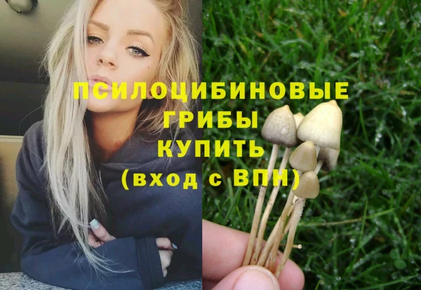 соль ск Абдулино