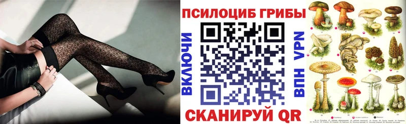 Псилоцибиновые грибы Psilocybine cubensis  купить наркотик  ссылка на мегу зеркало  Абинск 